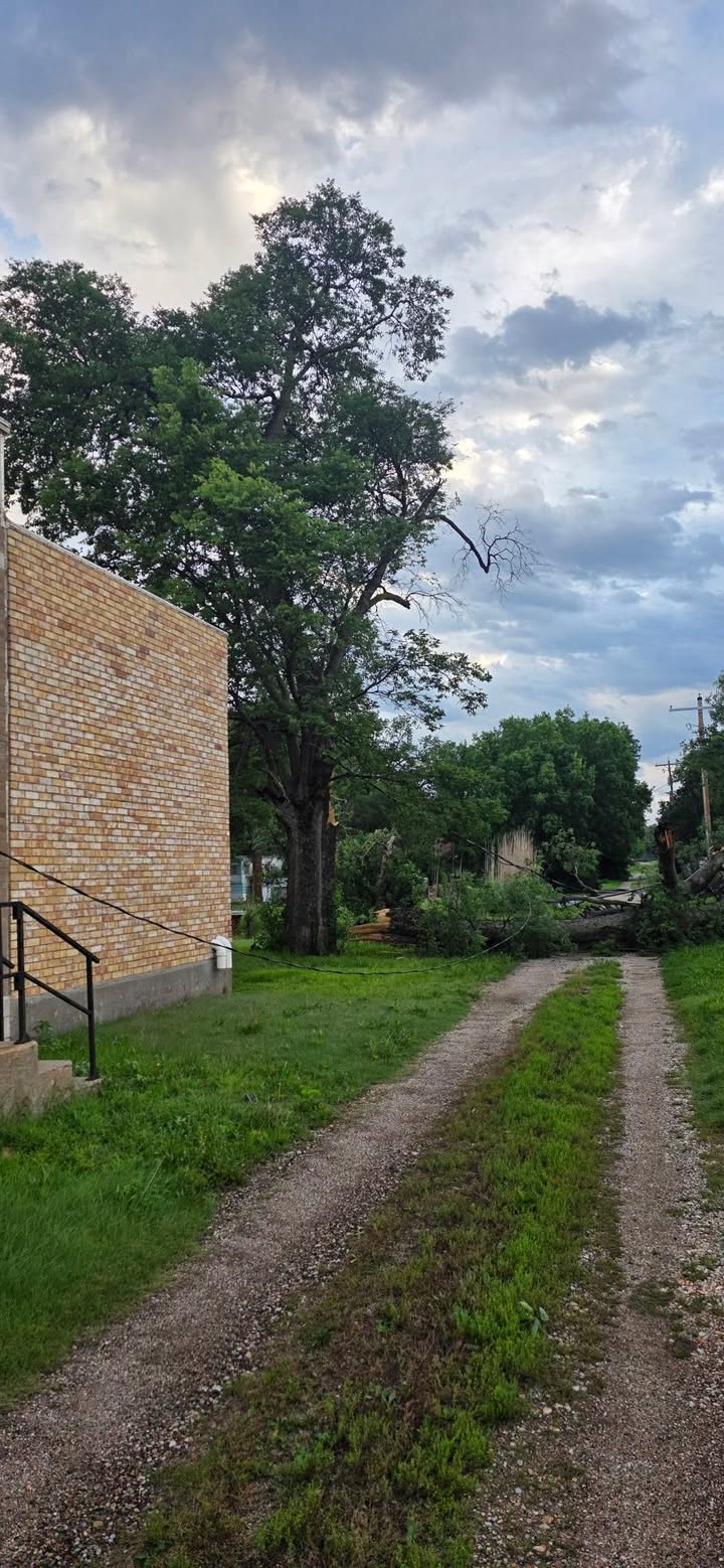 The Delphos Public Library